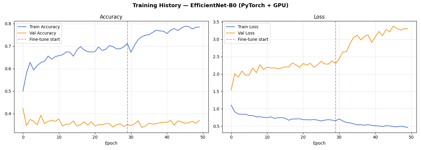Training History — Overfitting curve showing train vs validation accuracy gap